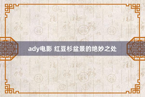 ady电影 红豆杉盆景的绝妙之处