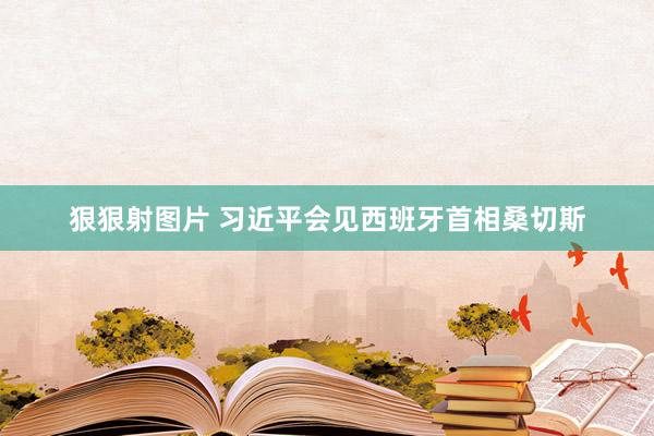 狠狠射图片 习近平会见西班牙首相桑切斯