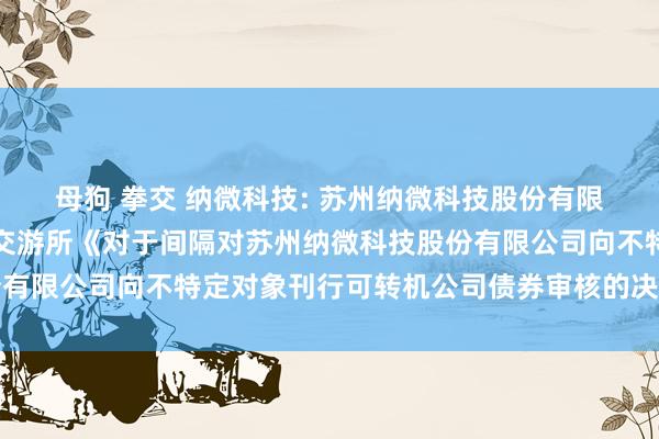 母狗 拳交 纳微科技: 苏州纳微科技股份有限公司对于收到上海证券交游所《对于间隔对苏州纳微科技股份有限公司向不特定对象刊行可转机公司债券审核的决定》的公告