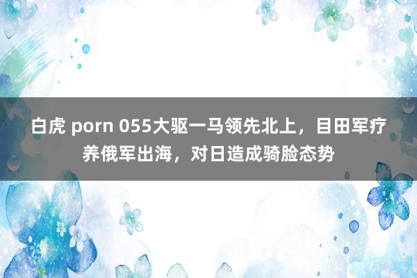 白虎 porn 055大驱一马领先北上，目田军疗养俄军出海，对日造成骑脸态势