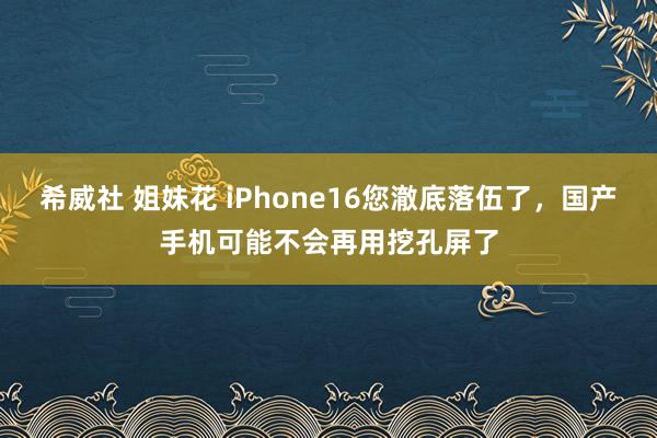 希威社 姐妹花 iPhone16您澈底落伍了，国产手机可能不会再用挖孔屏了