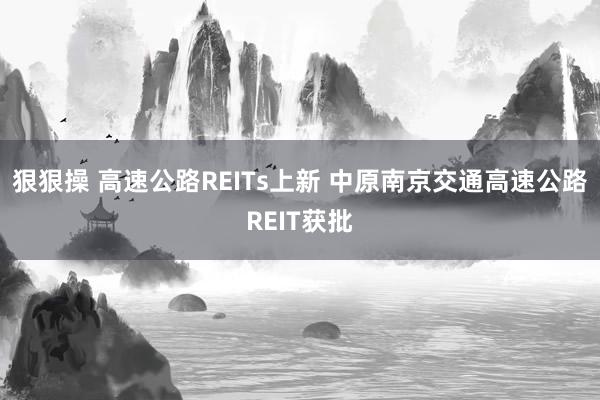 狠狠操 高速公路REITs上新 中原南京交通高速公路REIT获批