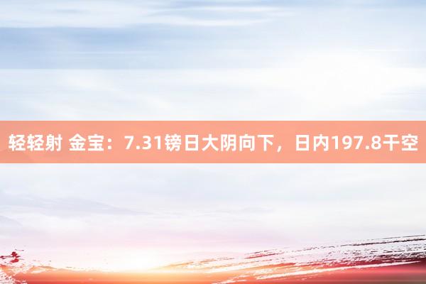 轻轻射 金宝：7.31镑日大阴向下，日内197.8干空