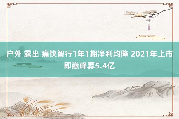 户外 露出 痛快智行1年1期净利均降 2021年上市即巅峰募5.4亿