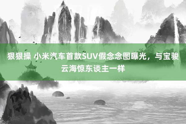 狠狠操 小米汽车首款SUV假念念图曝光，与宝骏云海惊东谈主一样