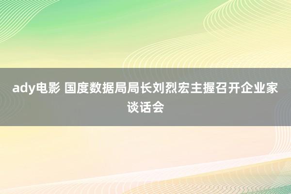 ady电影 国度数据局局长刘烈宏主握召开企业家谈话会