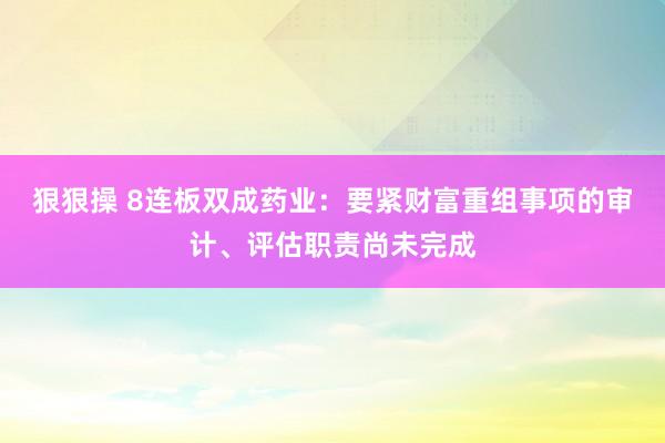 狠狠操 8连板双成药业：要紧财富重组事项的审计、评估职责尚未完成