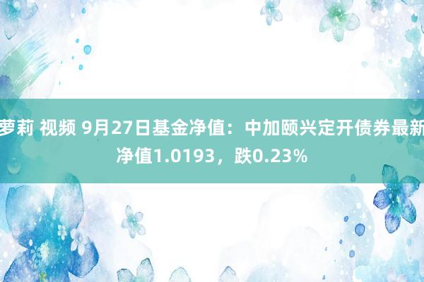 萝莉 视频 9月27日基金净值：中加颐兴定开债券最新净值1.0193，跌0.23%