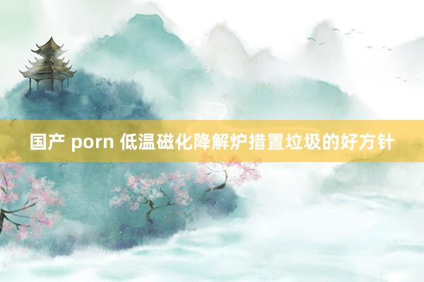 国产 porn 低温磁化降解炉措置垃圾的好方针