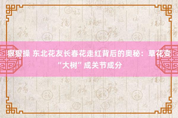 狠狠操 东北花友长春花走红背后的奥秘：草花变“大树”成关节成分