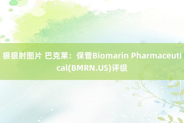 狠狠射图片 巴克莱：保管Biomarin Pharmaceutical(BMRN.US)评级