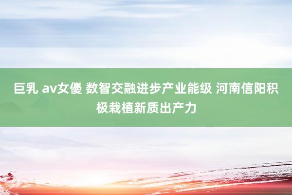 巨乳 av女優 数智交融进步产业能级 河南信阳积极栽植新质出产力