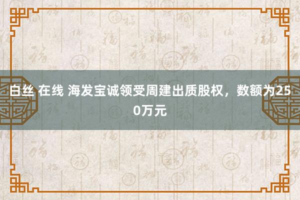 白丝 在线 海发宝诚领受周建出质股权，数额为250万元