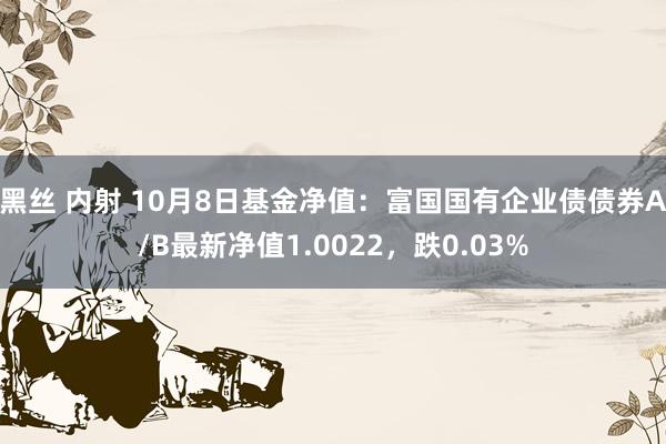 黑丝 内射 10月8日基金净值：富国国有企业债债券A/B最新净值1.0022，跌0.03%