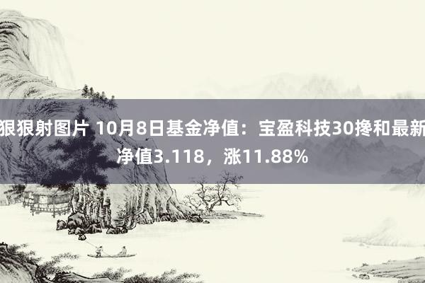 狠狠射图片 10月8日基金净值：宝盈科技30搀和最新净值3.118，涨11.88%