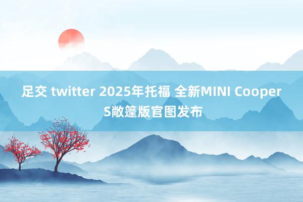 足交 twitter 2025年托福 全新MINI Cooper S敞篷版官图发布