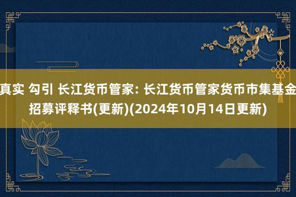 真实 勾引 长江货币管家: 长江货币管家货币市集基金招募评释书(更新)(2024年10月14日更新)