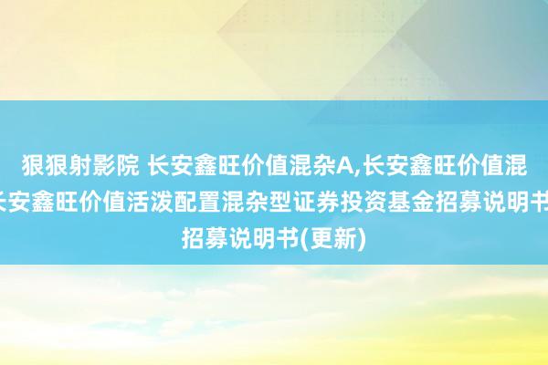 狠狠射影院 长安鑫旺价值混杂A,长安鑫旺价值混杂C: 长安鑫旺价值活泼配置混杂型证券投资基金招募说明书(更新)