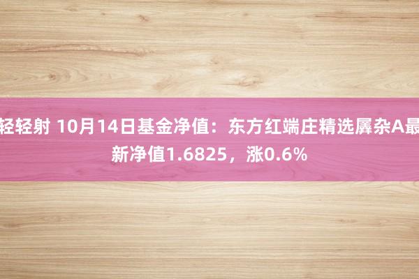 轻轻射 10月14日基金净值：东方红端庄精选羼杂A最新净值1.6825，涨0.6%