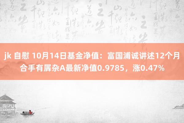 jk 自慰 10月14日基金净值：富国浦诚讲述12个月合手有羼杂A最新净值0.9785，涨0.47%