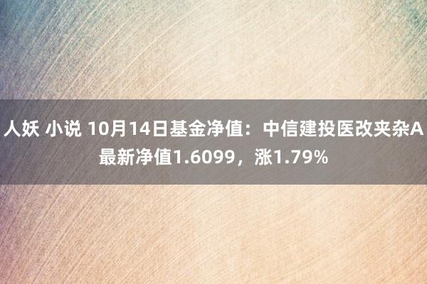 人妖 小说 10月14日基金净值：中信建投医改夹杂A最新净值1.6099，涨1.79%