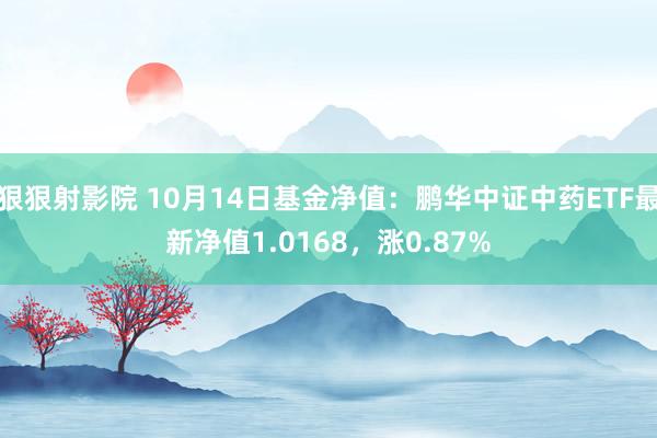 狠狠射影院 10月14日基金净值：鹏华中证中药ETF最新净值1.0168，涨0.87%