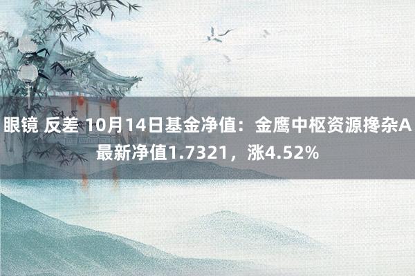 眼镜 反差 10月14日基金净值：金鹰中枢资源搀杂A最新净值1.7321，涨4.52%