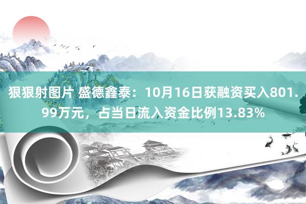 狠狠射图片 盛德鑫泰：10月16日获融资买入801.99万元，占当日流入资金比例13.83%