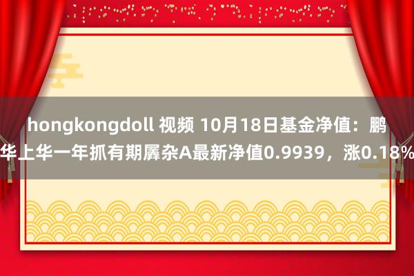 hongkongdoll 视频 10月18日基金净值：鹏华上华一年抓有期羼杂A最新净值0.9939，涨0.18%