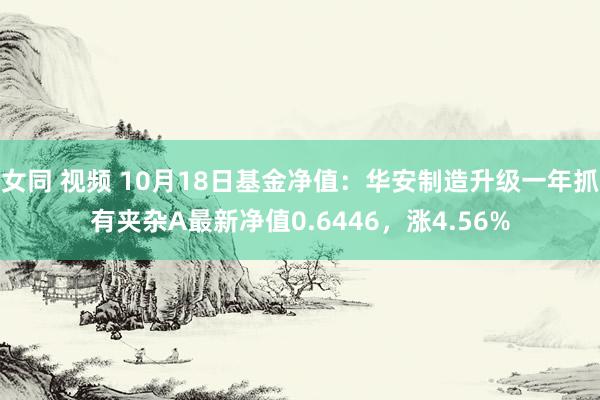 女同 视频 10月18日基金净值：华安制造升级一年抓有夹杂A最新净值0.6446，涨4.56%