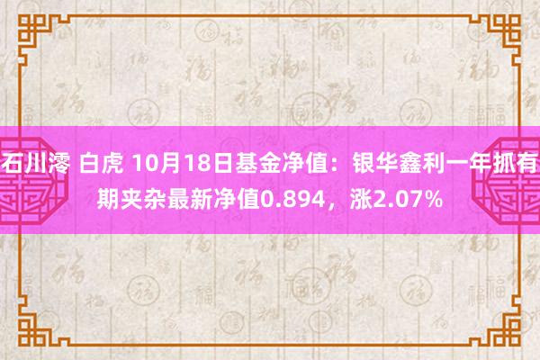 石川澪 白虎 10月18日基金净值：银华鑫利一年抓有期夹杂最新净值0.894，涨2.07%