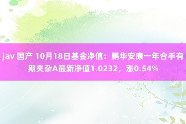 jav 国产 10月18日基金净值：鹏华安康一年合手有期夹杂A最新净值1.0232，涨0.54%