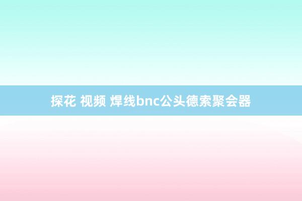 探花 视频 焊线bnc公头德索聚会器