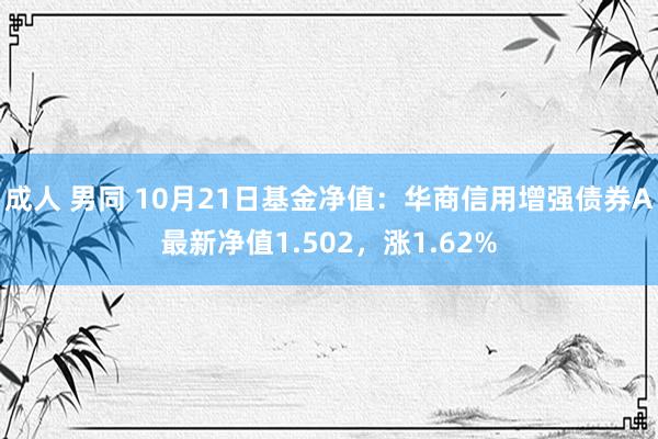 成人 男同 10月21日基金净值：华商信用增强债券A最新净值1.502，涨1.62%