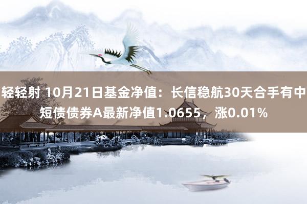 轻轻射 10月21日基金净值：长信稳航30天合手有中短债债券A最新净值1.0655，涨0.01%