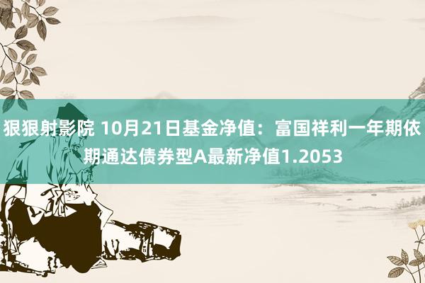 狠狠射影院 10月21日基金净值：富国祥利一年期依期通达债券型A最新净值1.2053