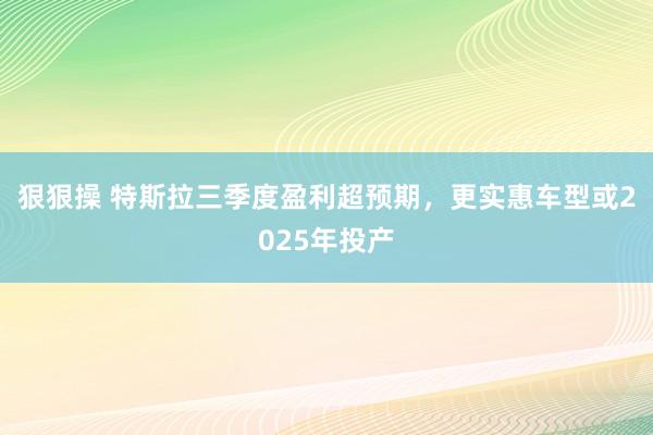 狠狠操 特斯拉三季度盈利超预期，更实惠车型或2025年投产