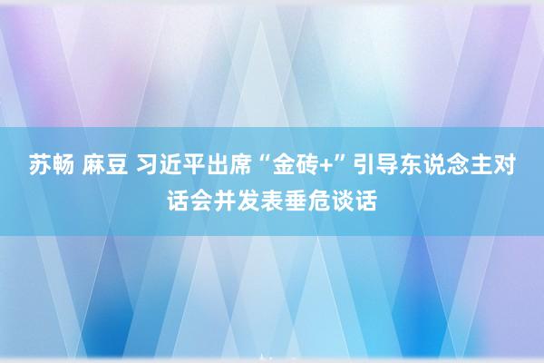 苏畅 麻豆 习近平出席“金砖+”引导东说念主对话会并发表垂危谈话