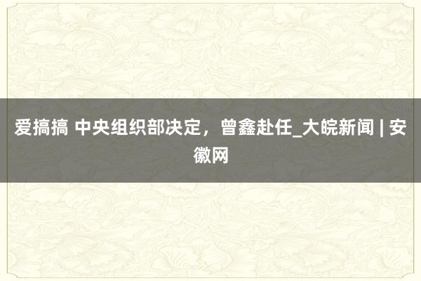 爱搞搞 中央组织部决定，曾鑫赴任_大皖新闻 | 安徽网