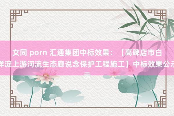 女同 porn 汇通集团中标效果：【高碑店市白洋淀上游河流生态廊说念保护工程施工】中标效果公示