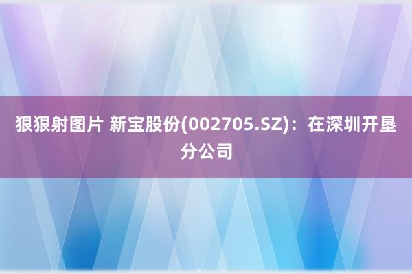 狠狠射图片 新宝股份(002705.SZ)：在深圳开垦分公司