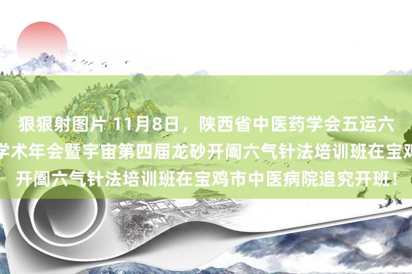 狠狠射图片 11月8日，陕西省中医药学会五运六气专科委员会2024年学术年会暨宇宙第四届龙砂开阖六气针法培训班在宝鸡市中医病院追究开班！