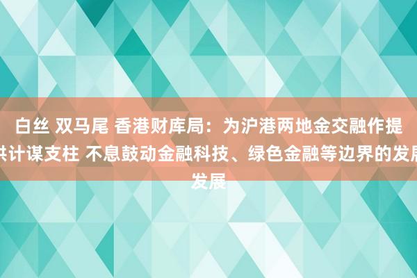 白丝 双马尾 香港财库局：为沪港两地金交融作提供计谋支柱 不息鼓动金融科技、绿色金融等边界的发展