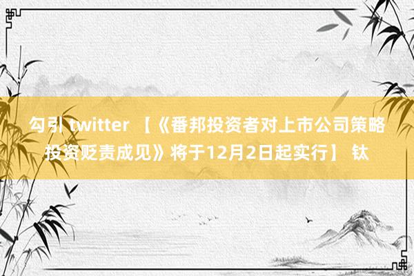 勾引 twitter 【《番邦投资者对上市公司策略投资贬责成见》将于12月2日起实行】 钛