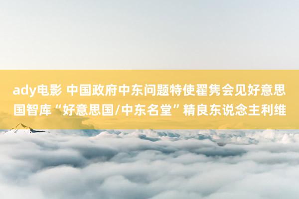 ady电影 中国政府中东问题特使翟隽会见好意思国智库“好意思国/中东名堂”精良东说念主利维