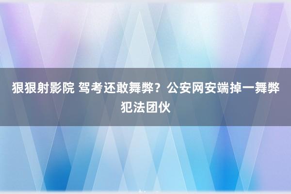 狠狠射影院 驾考还敢舞弊？公安网安端掉一舞弊犯法团伙