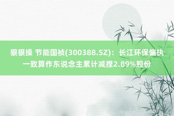 狠狠操 节能国祯(300388.SZ)：长江环保偏执一致算作东说念主累计减捏2.89%股份