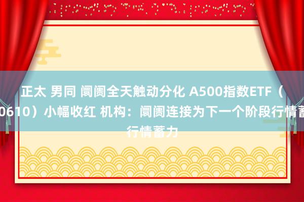 正太 男同 阛阓全天触动分化 A500指数ETF（560610）小幅收红 机构：阛阓连接为下一个阶段行情蓄力