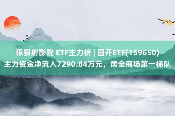 狠狠射影院 ETF主力榜 | 国开ETF(159650)主力资金净流入7290.84万元，居全商场第一梯队