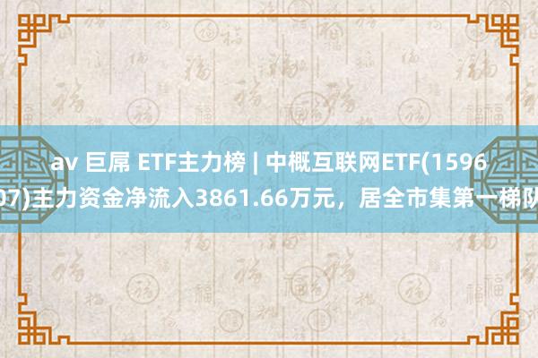 av 巨屌 ETF主力榜 | 中概互联网ETF(159607)主力资金净流入3861.66万元，居全市集第一梯队